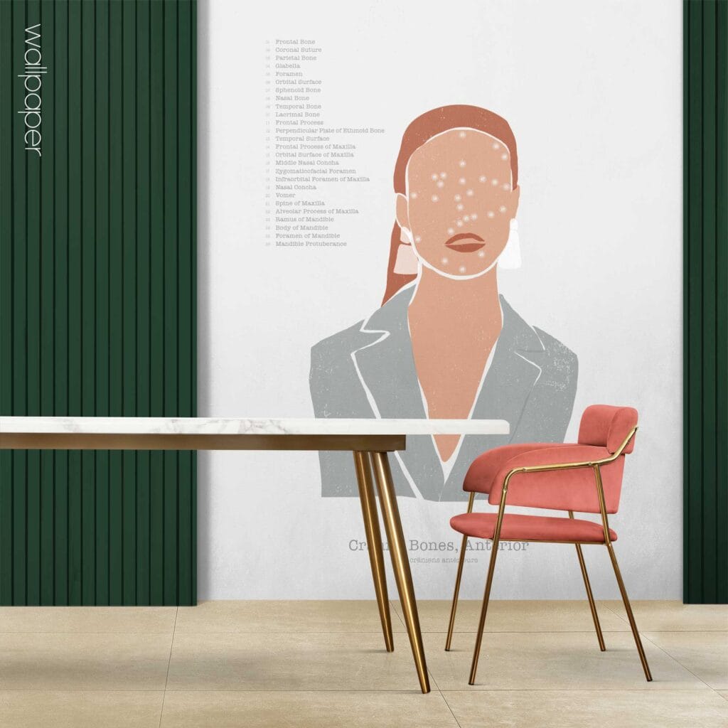 09 abstract cranial bones anterior wallpaper – Premium Anatomy Chart by educare.design