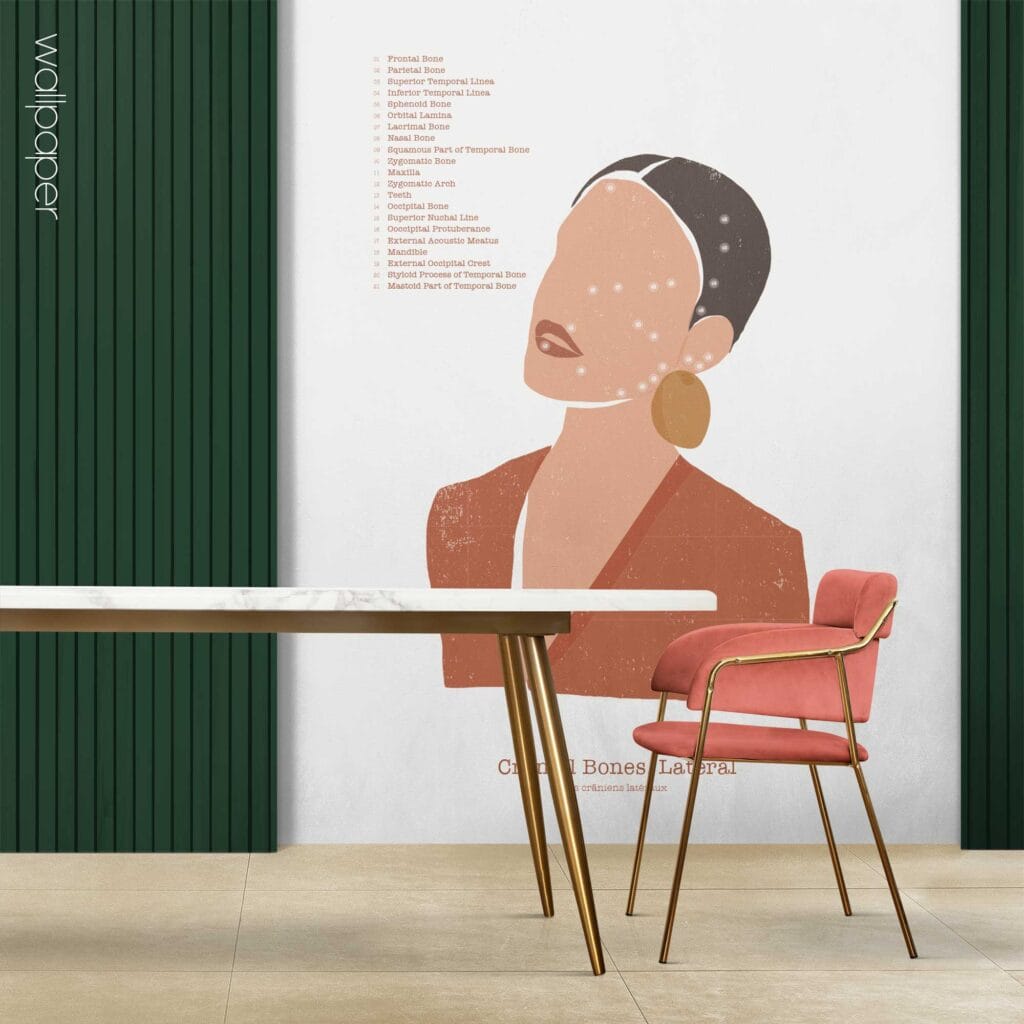 09 abstract cranial bones lateral wallpaper – Premium Anatomy Chart by educare.design