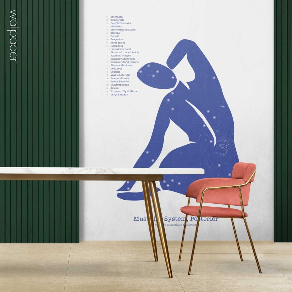 09 abstract posterior muscles wallpaper – Premium Anatomy Chart by educare.design