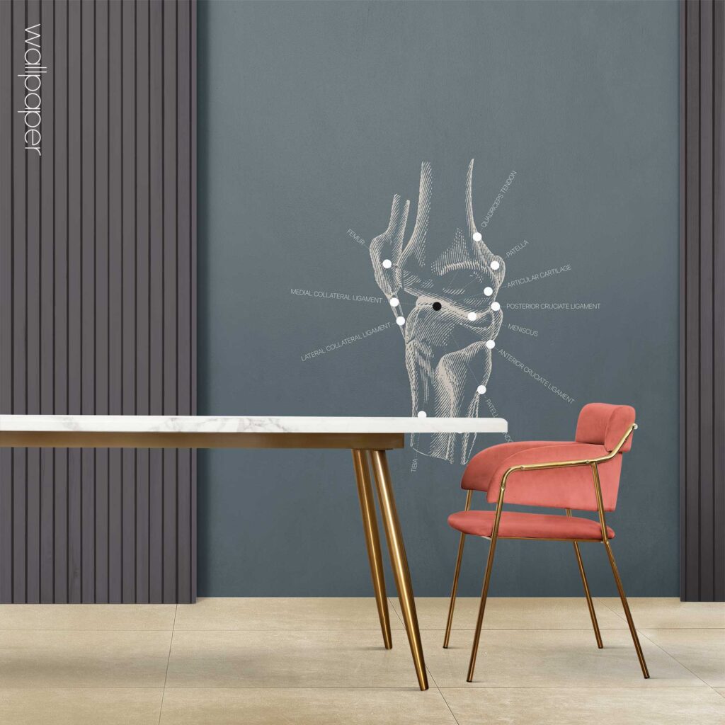 09 blue knee lateral wallpaper – Premium Anatomy Chart by educare.design
