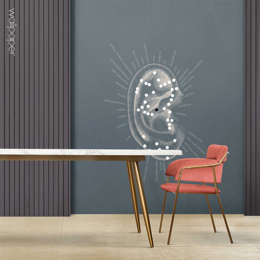 09 blue reflexology ear wallpaper – Premium Anatomy Chart by educare.design