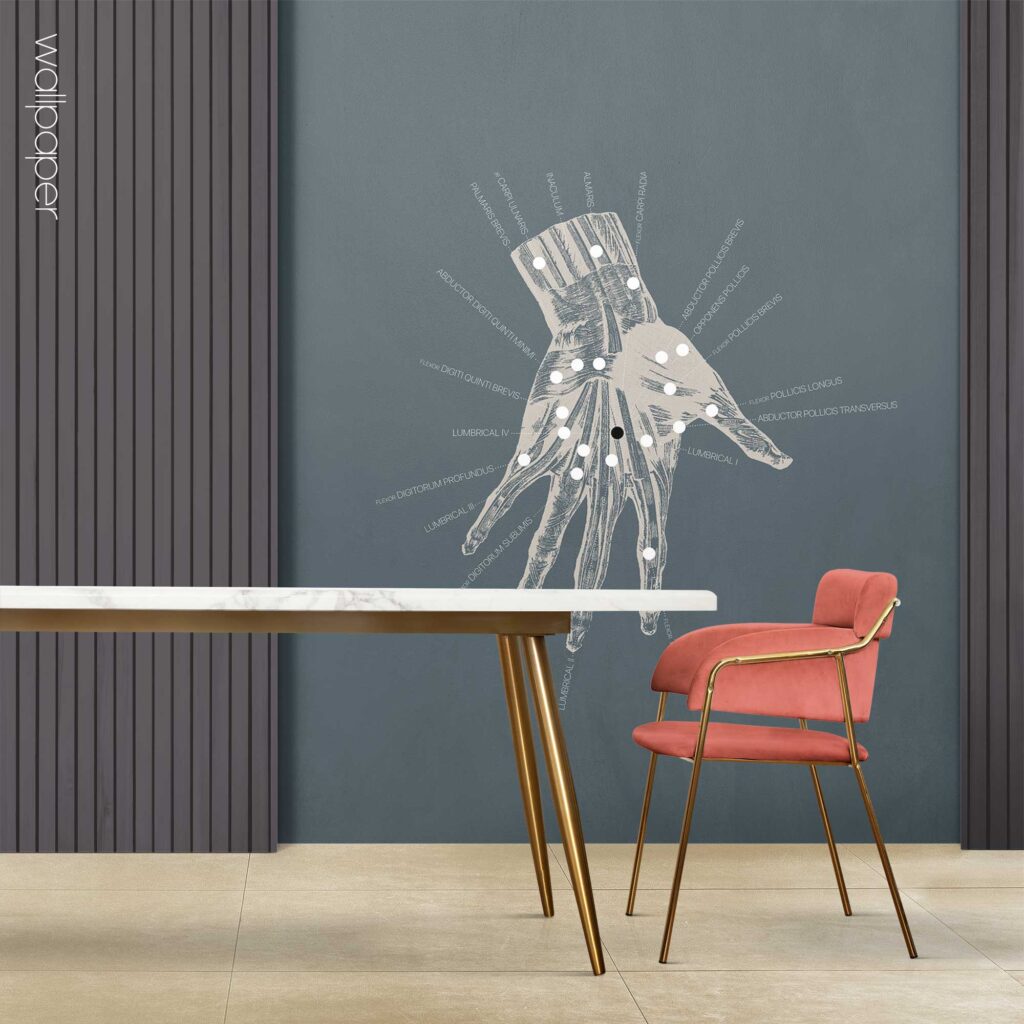 09 blue hand anatomy wallpaper – Premium Anatomy Chart by educare.design