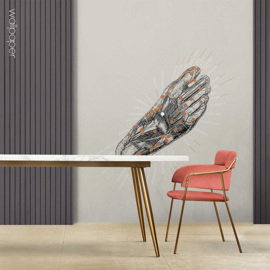 09 grey reflexology sole wallpaper – Premium Anatomy Chart by educare.design