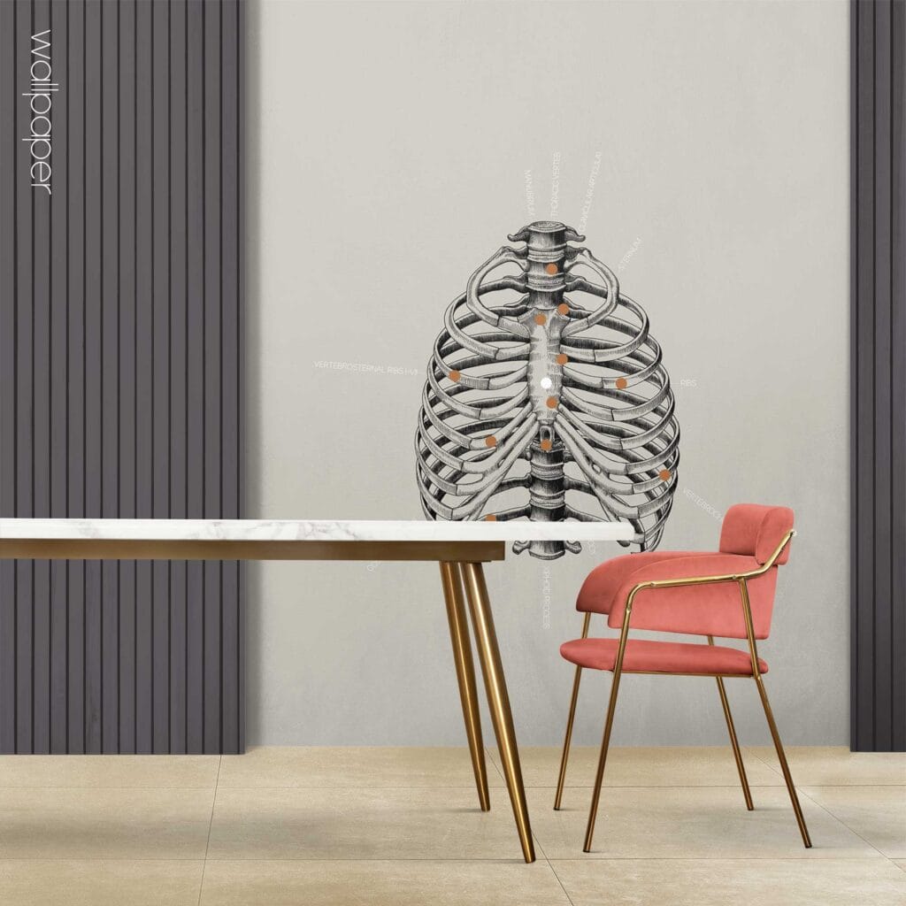 09 grey rib cage wallpaper – Premium Anatomy Chart by educare.design