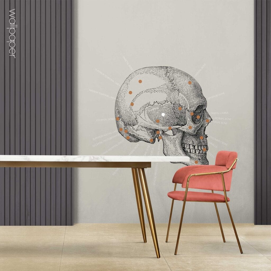 09 grey cranial bones lateral wallpaper – Premium Anatomy Chart by educare.design