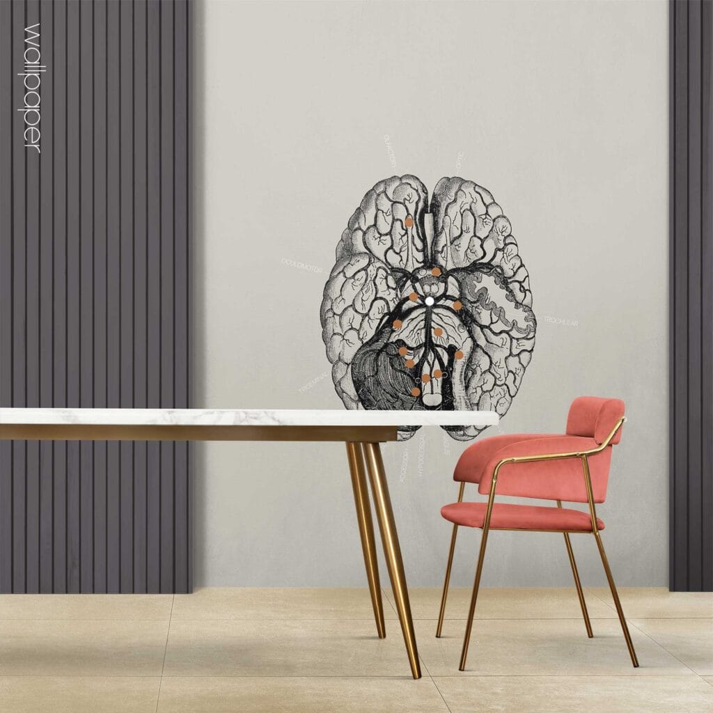 09 grey cranial nerves cross section wallpaper – Premium Anatomy Chart by educare.design