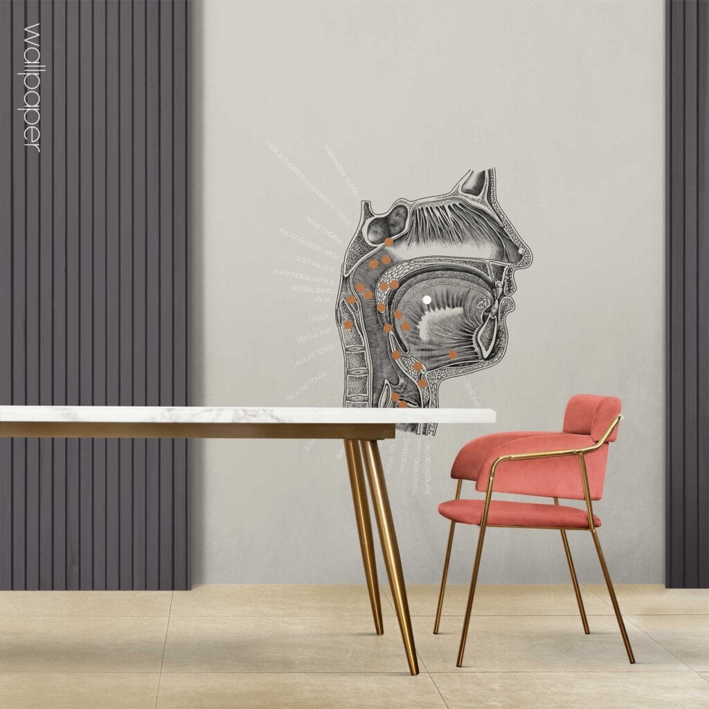 09 grey oral cavity wallpaper – Premium Anatomy Chart by educare.design