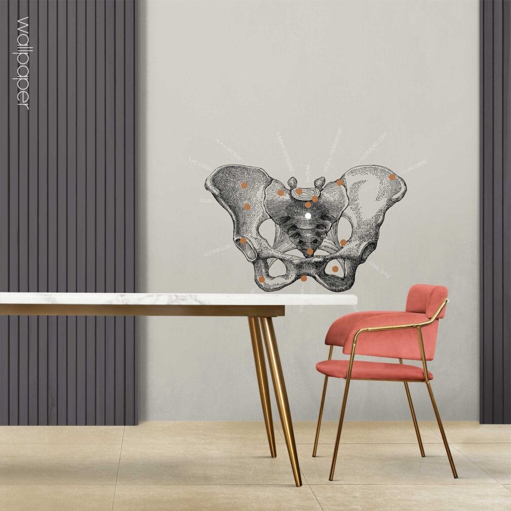09 grey pelvis female wallpaper – Premium Anatomy Chart by educare.design