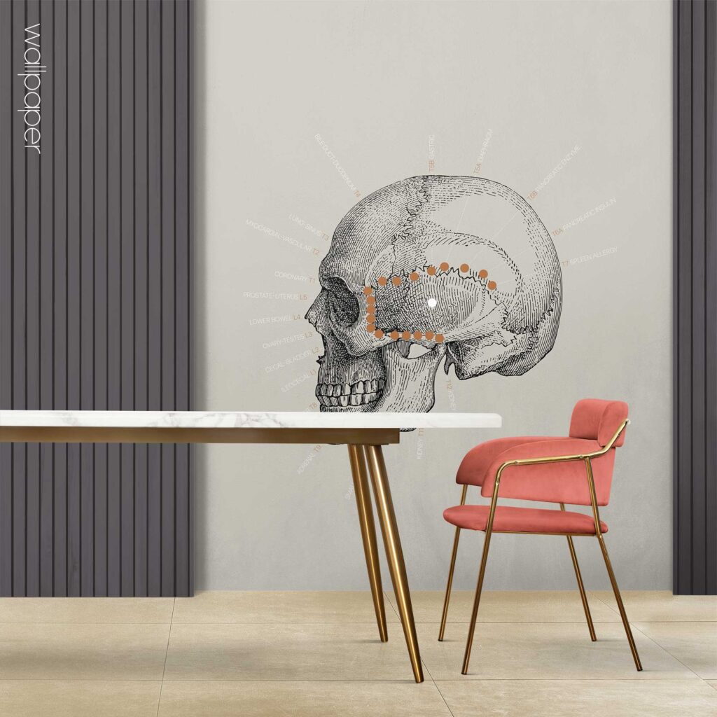 09 grey ts line vintage wallpaper – Premium Anatomy Chart by educare.design