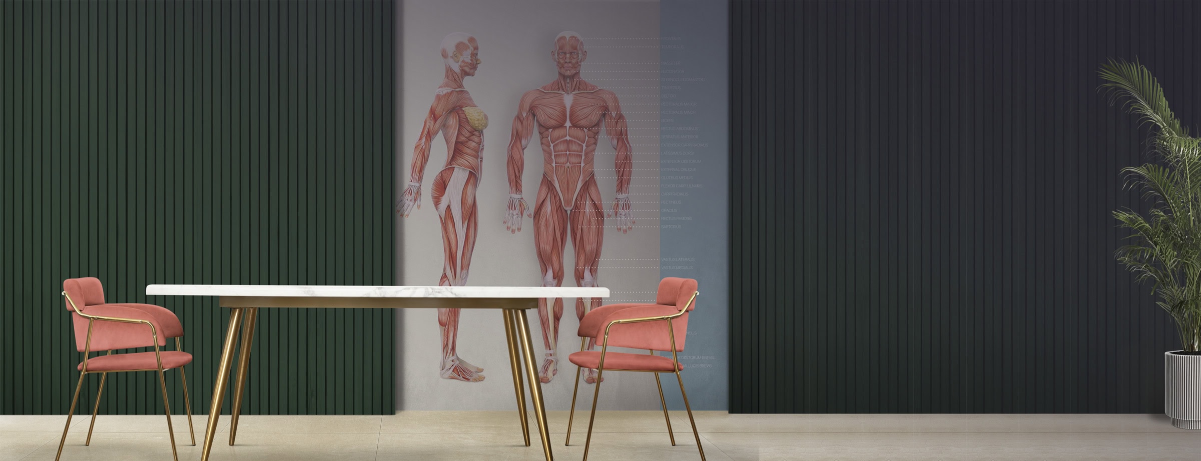 Wallpaper for medical offices from educare.design