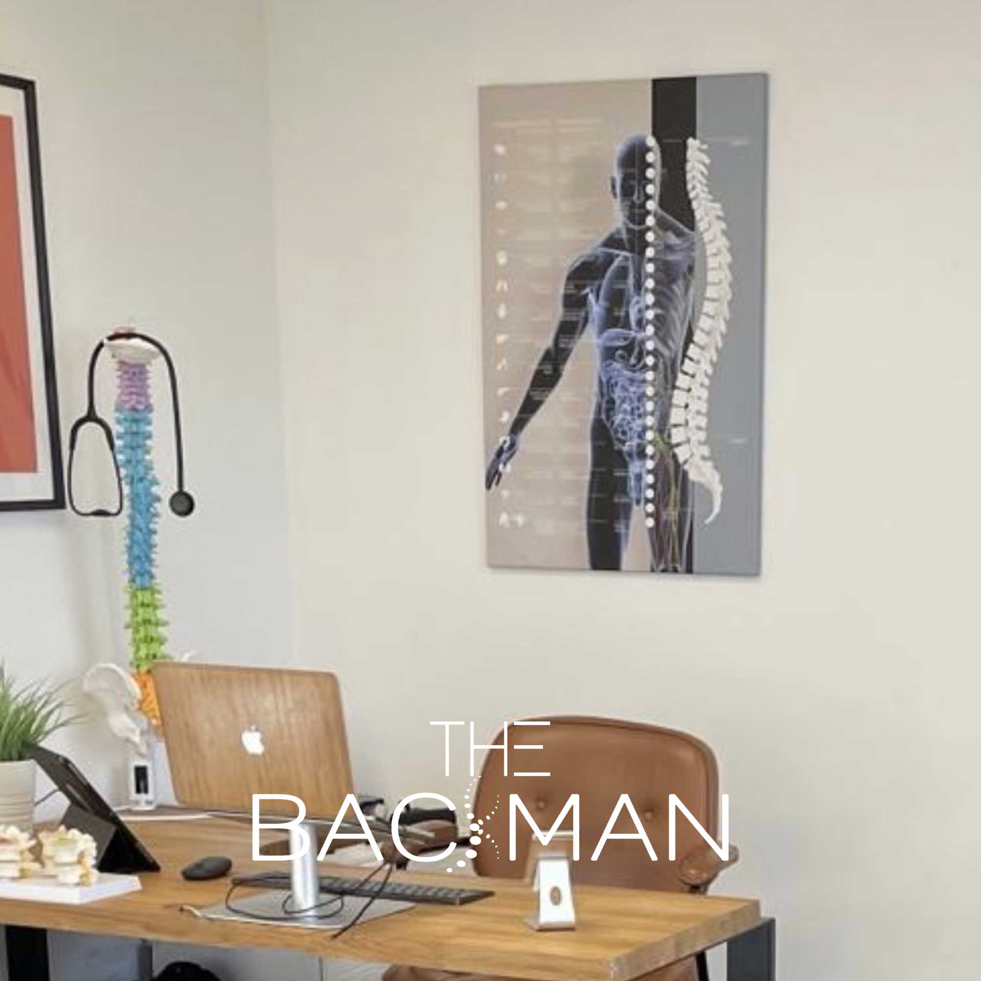 backman 01 ans – Premium Anatomy Chart by educare.design