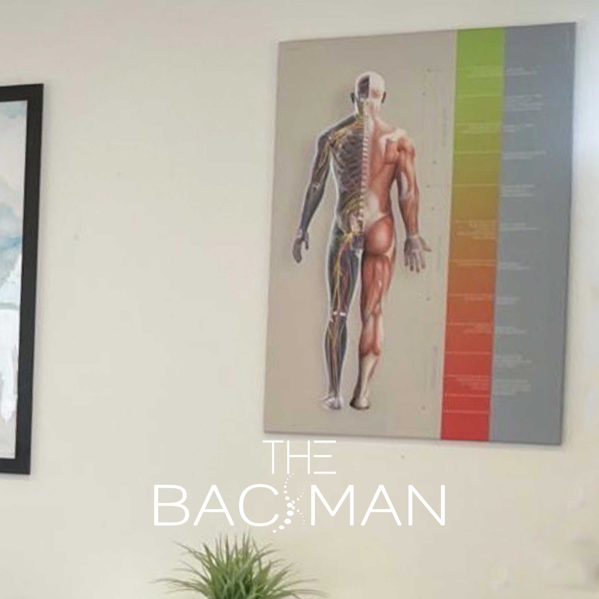 backman 02 treatmentplan – Premium Anatomy Chart by educare.design