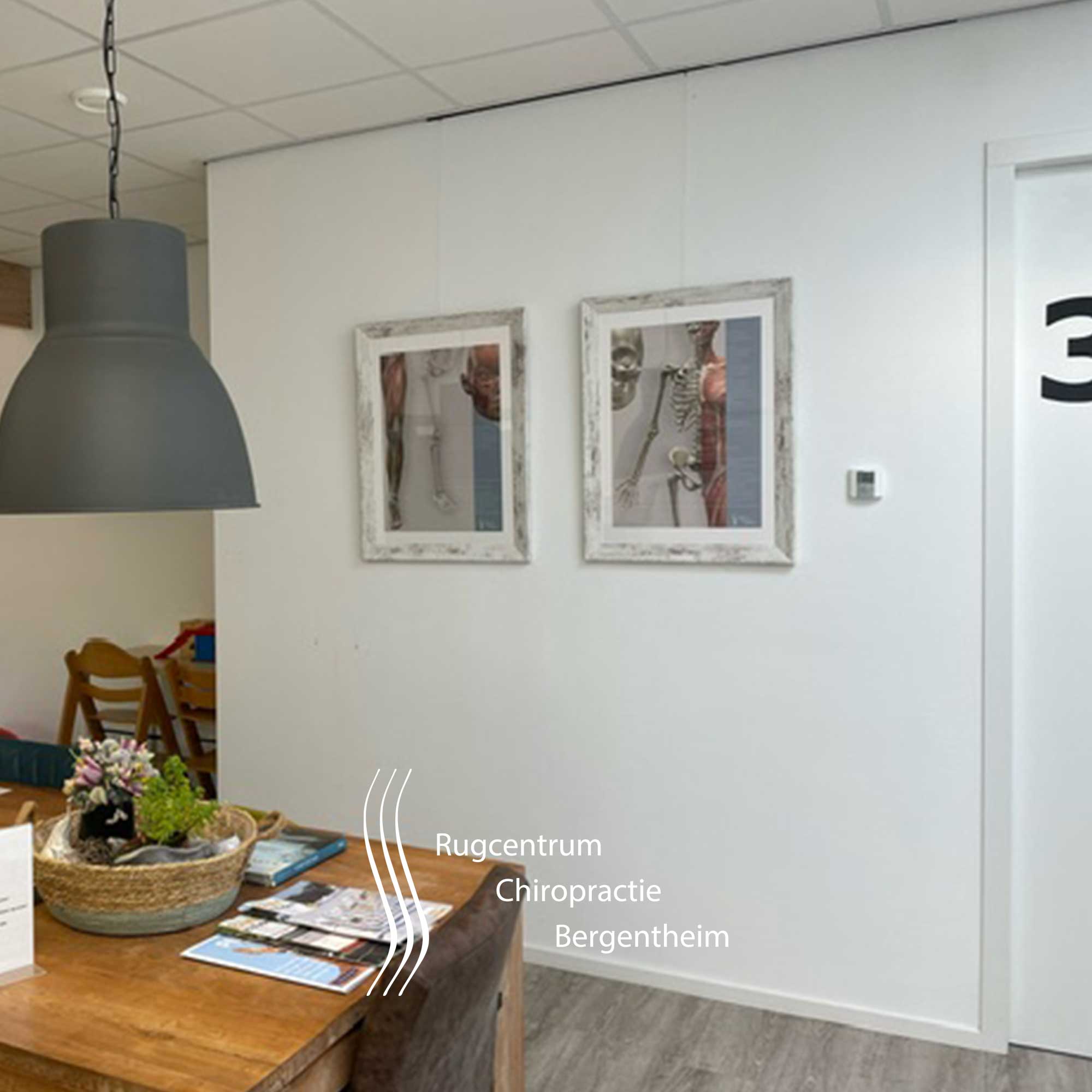 ruggcentrum 01 – Premium Anatomy Chart by educare.design