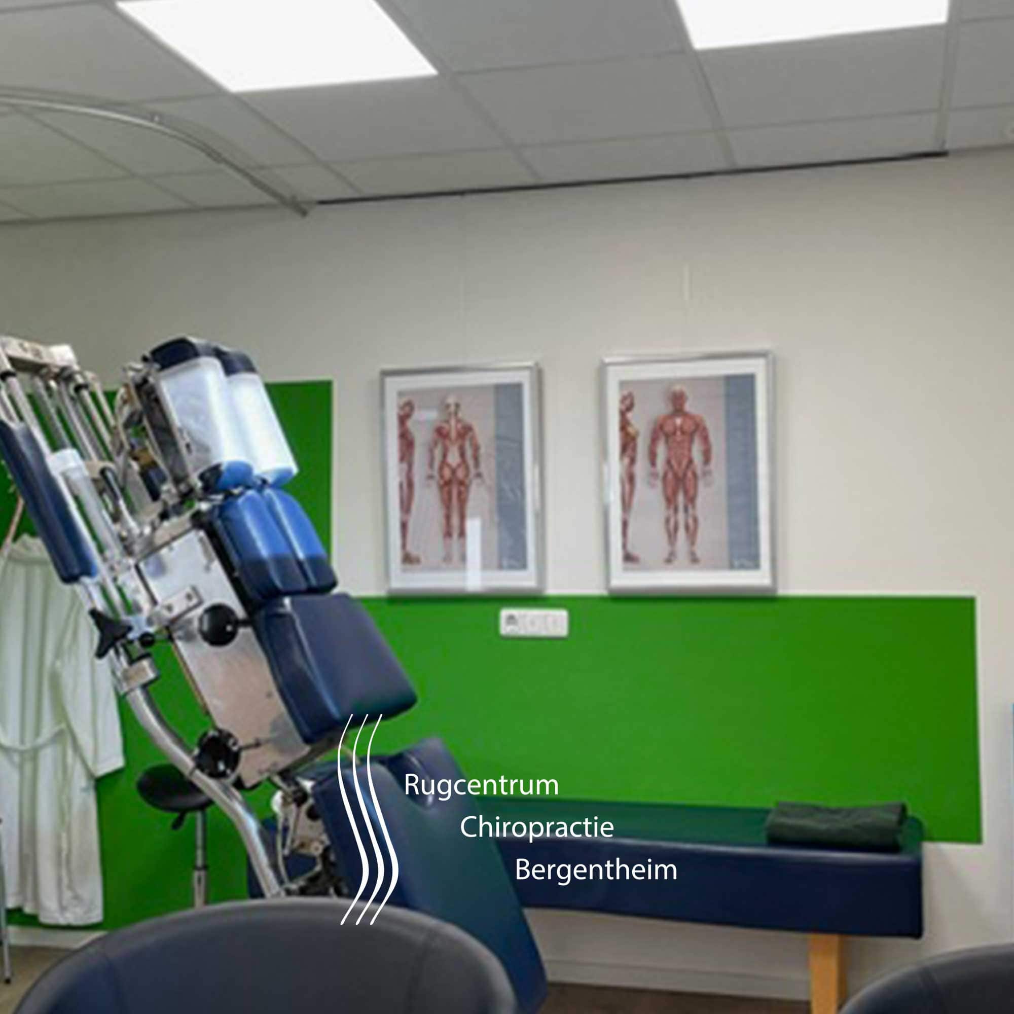 ruggcentrum 03 – Premium Anatomy Chart by educare.design