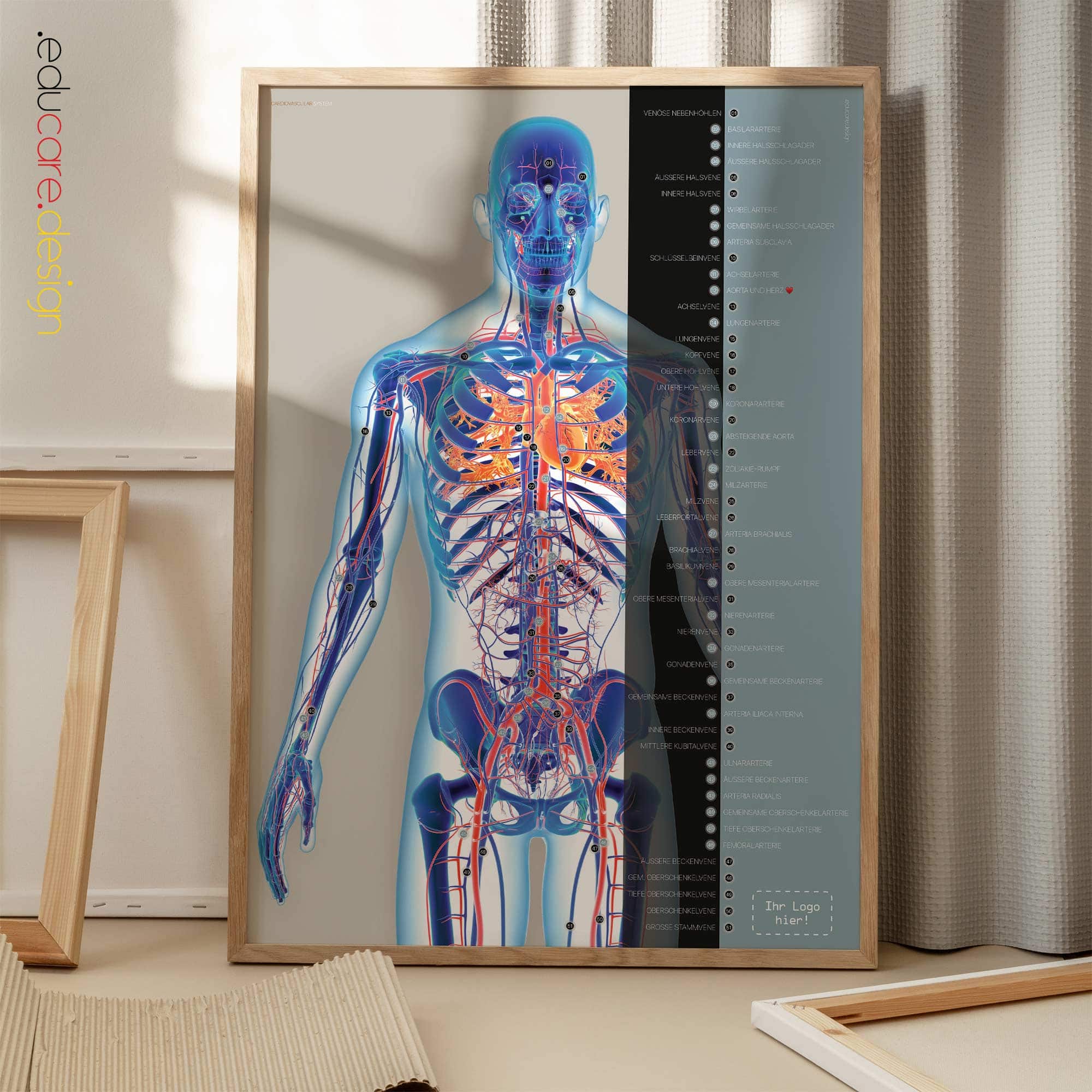 Herz-Kreislauf-System Anatomie-Chart für Praxen und Kliniken