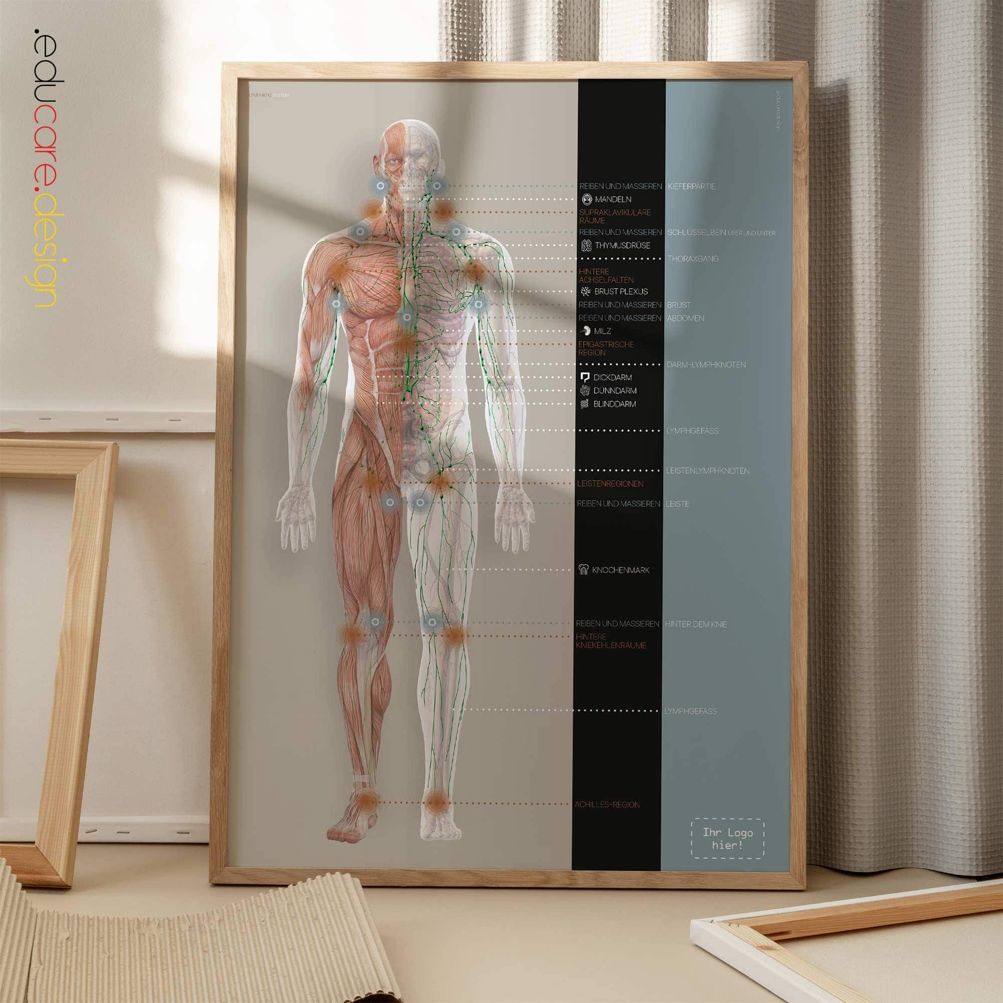 Lymphatisches System Anatomie-Chart für Praxen und Kliniken