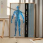 Meridiankanäle Anatomie-Chart für Praxen und Kliniken