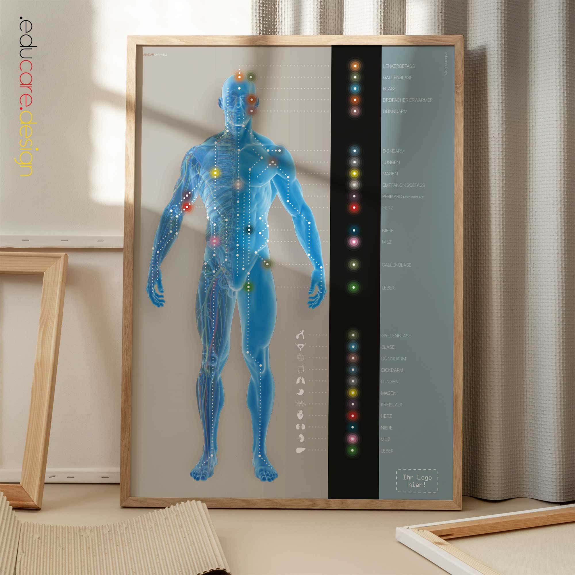 Meridiankanäle Anatomie-Chart für Praxen und Kliniken