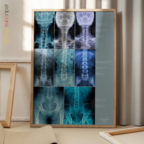 Häufige Muskuloskelettale Verletzungen und Erkrankungen Anatomie-Chart für Praxen und Kliniken Häufige Muskuloskelettale Verletzungen und Erkrankungen Anatomie-Chart für Praxen und Kliniken