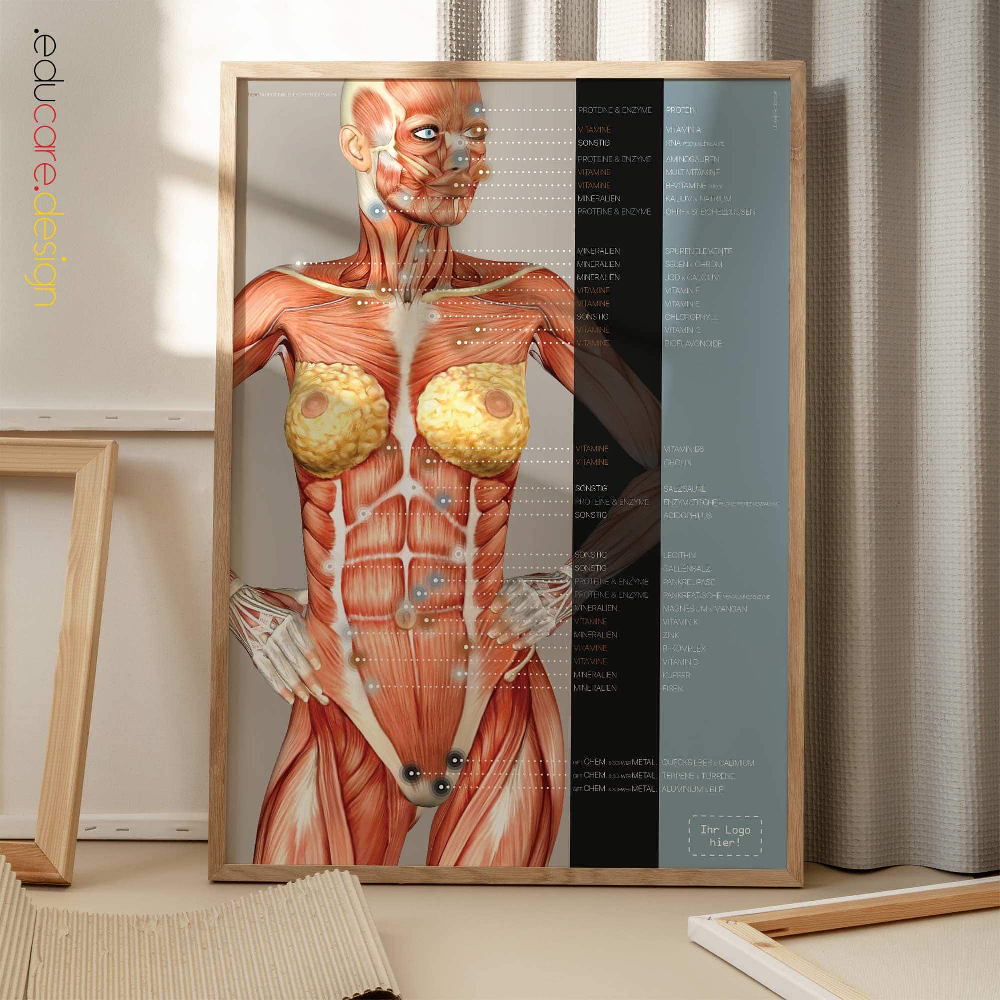 Ernährungsenergie-Reflexpunkte Anatomie-Chart für Praxen und Kliniken