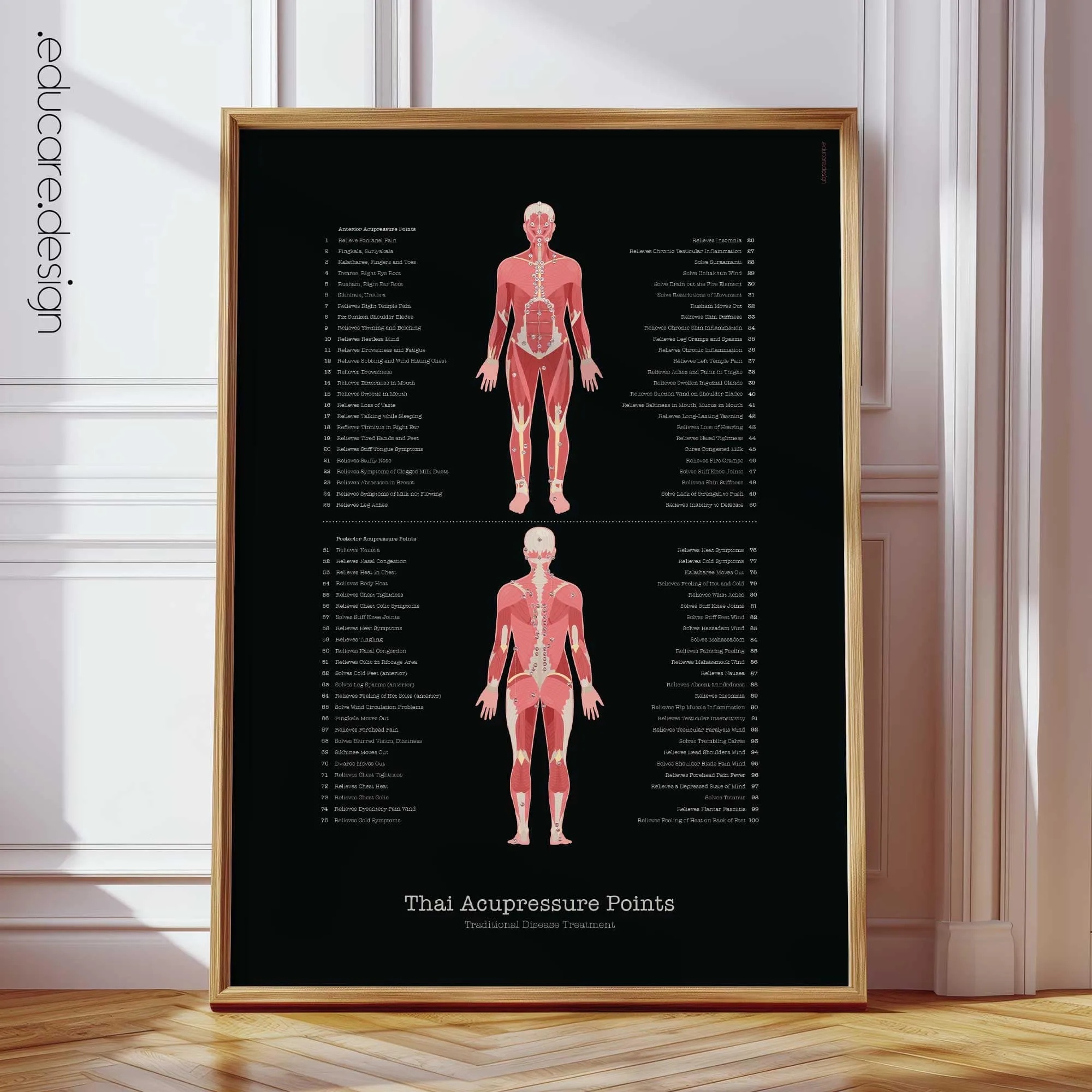 Reflexology Chart Set anatomy chart for clinics Reflexology Chart Set anatomy chart for clinics