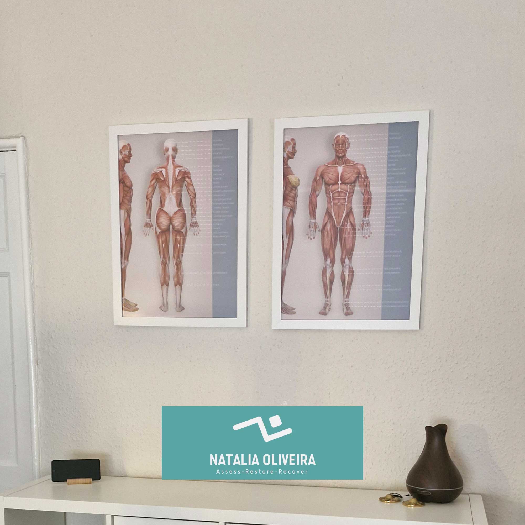 natalia 02 – Premium Anatomy Chart by educare.design