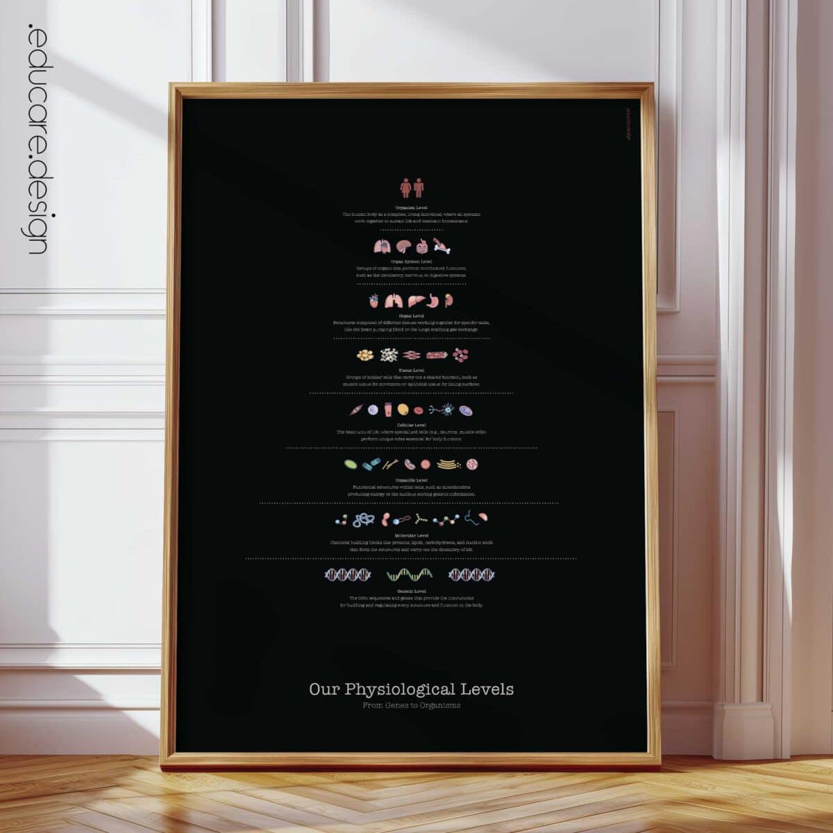 Notre tableau des niveaux physiologiques, édition noire