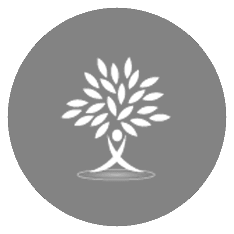 north brisbane – Premium Anatomy Chart by educare.design