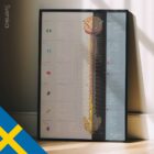 Zonteknik anatomidiagram för kliniker
