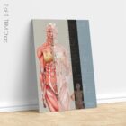 TBM Total Body Modification chart