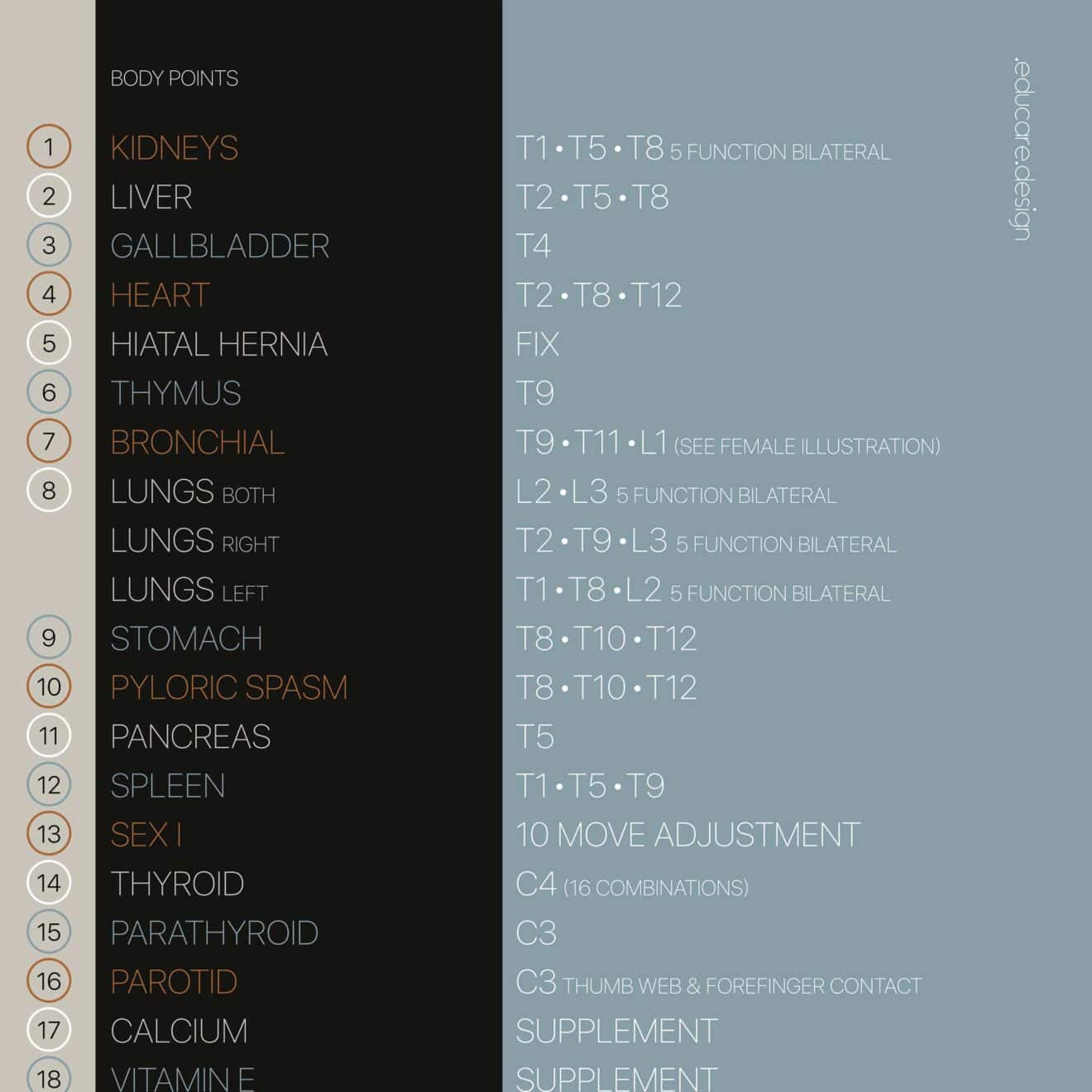 TBM Total Body Modification chart