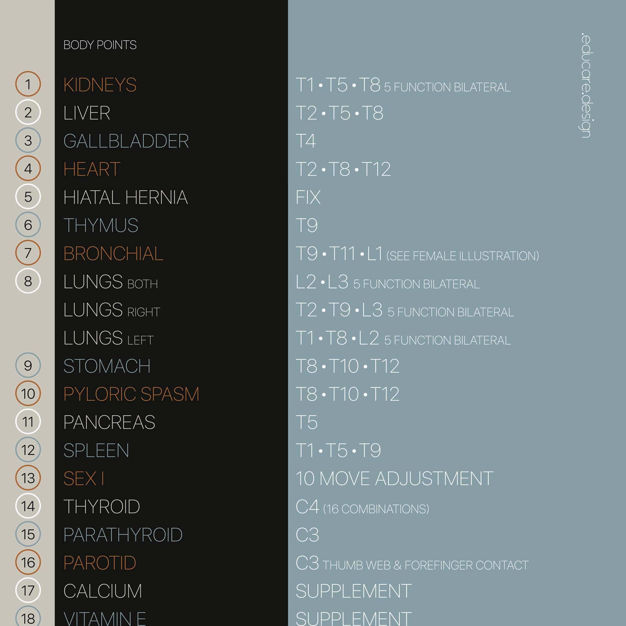 TBM Total Body Modification chart