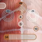 TBM Total Body Modification chart