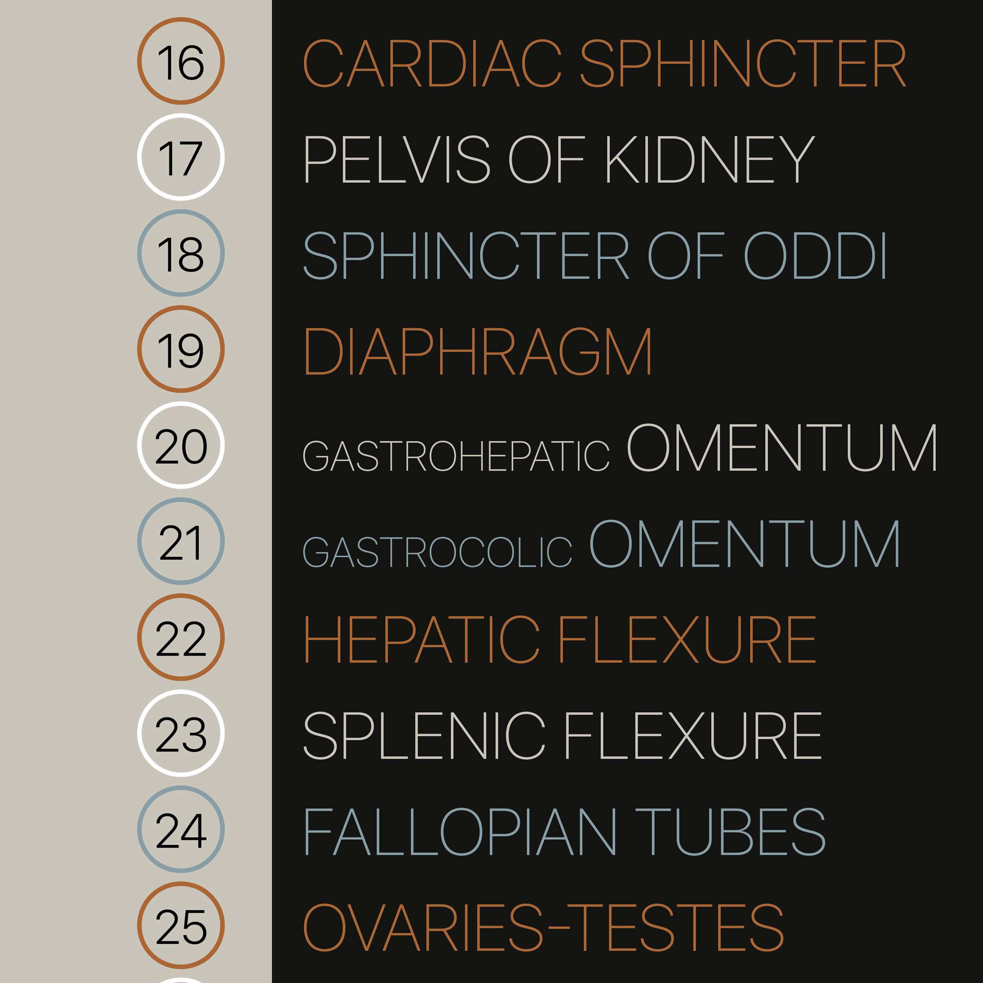 TBM Total Body Modification chart