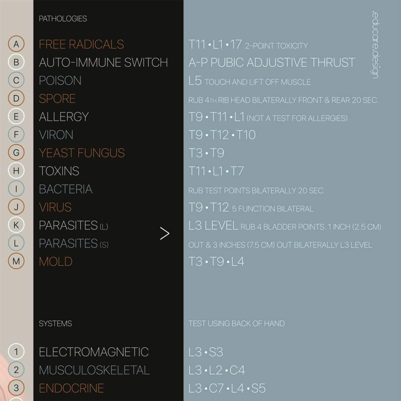 TBM Total Body Modification chart