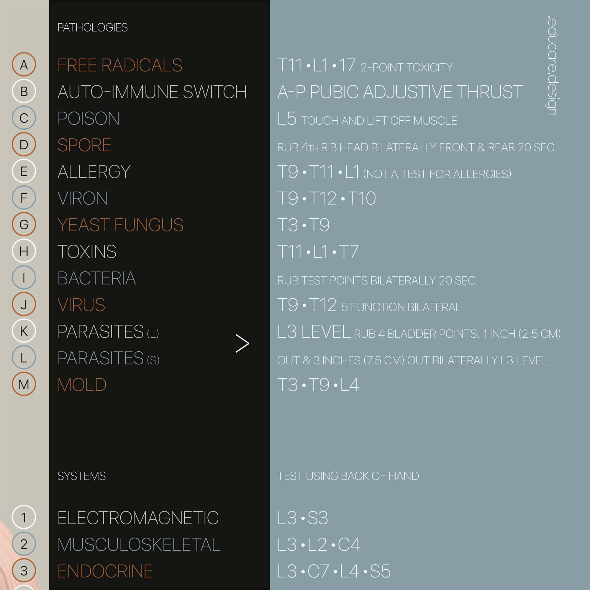TBM Total Body Modification chart