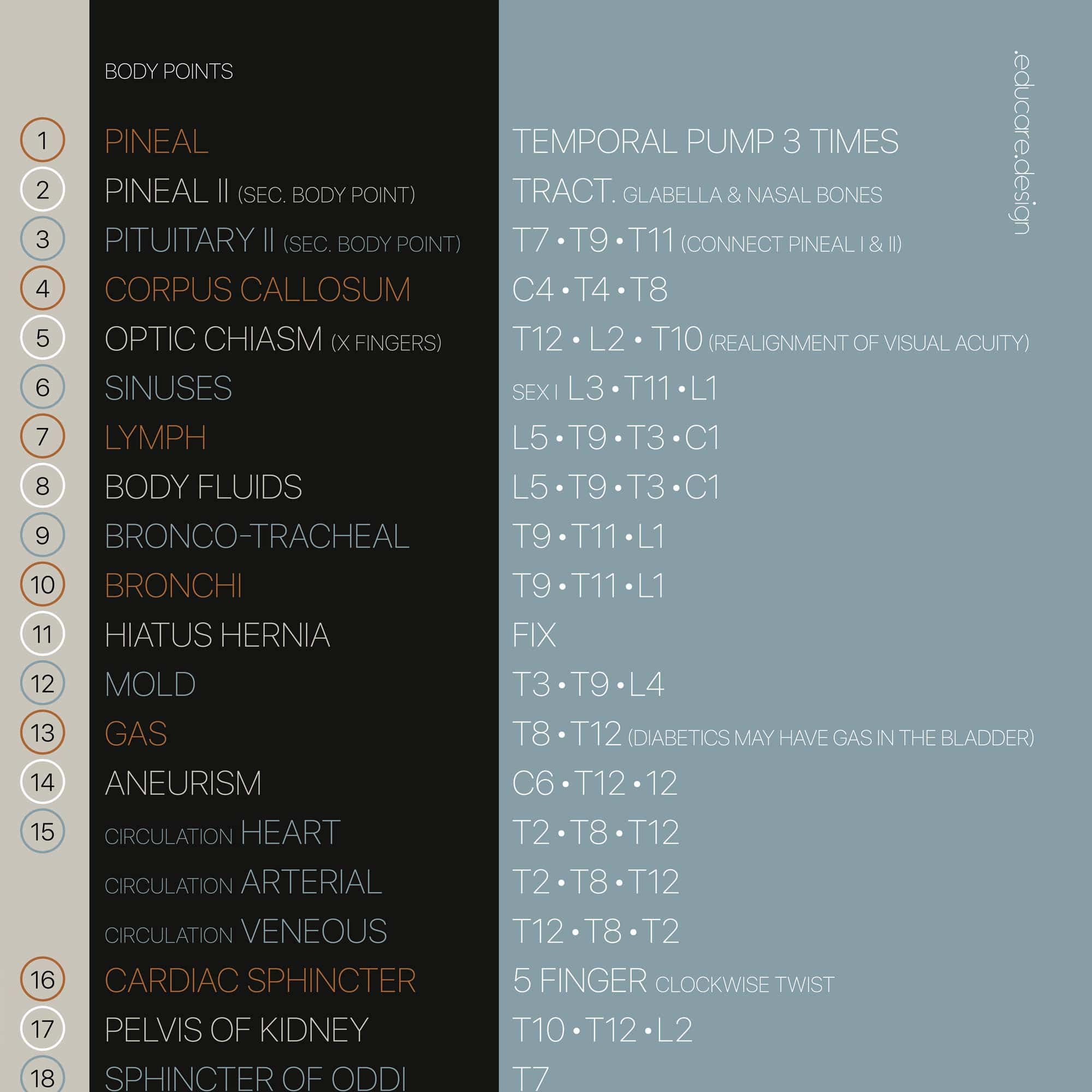 TBM Total Body Modification chart