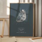 Heart anatomy, postural surface view