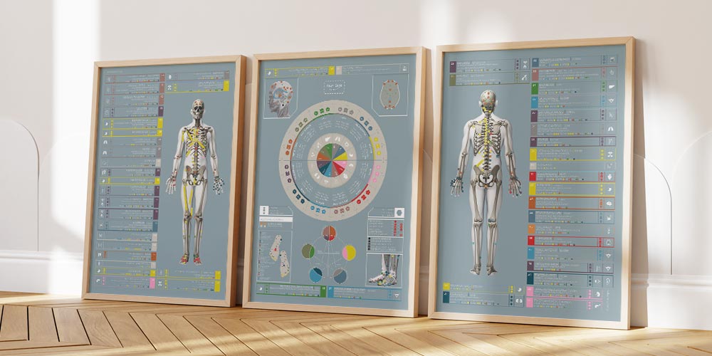 Tableau de la kinésiologie appliquée from educare.design