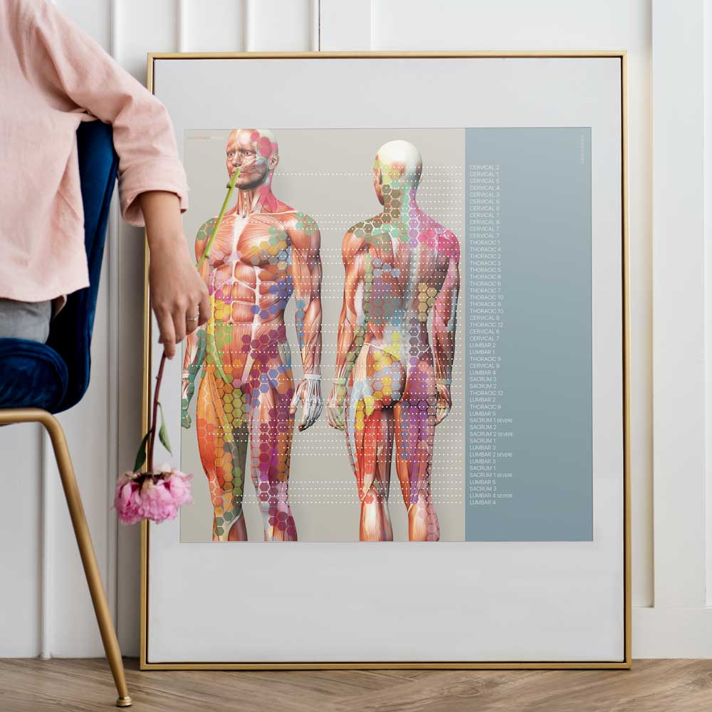 Carte de la douleur des sclérotomes. Dessin d'anatomie et de physiologie d'educare.design