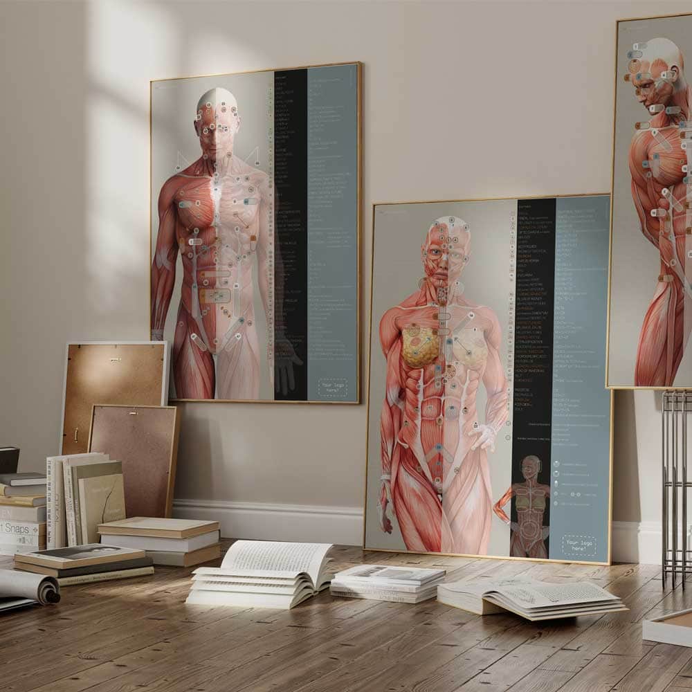 TBM Tableau des modifications corporelles totales