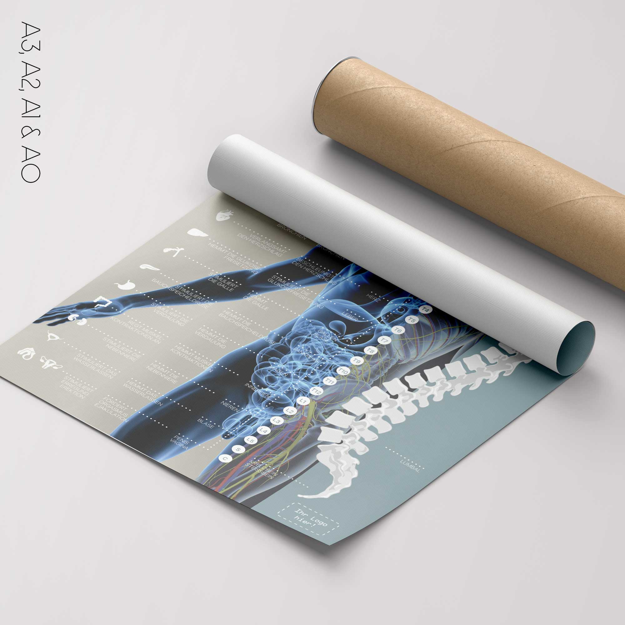 Vegetatives Nervensystem