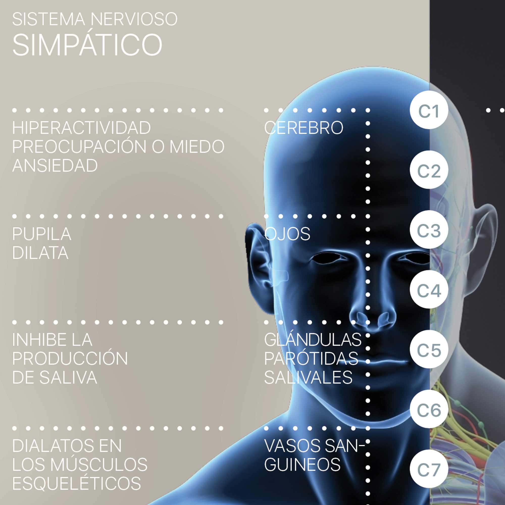 Sciatic Nerve Pain – Quick Guide