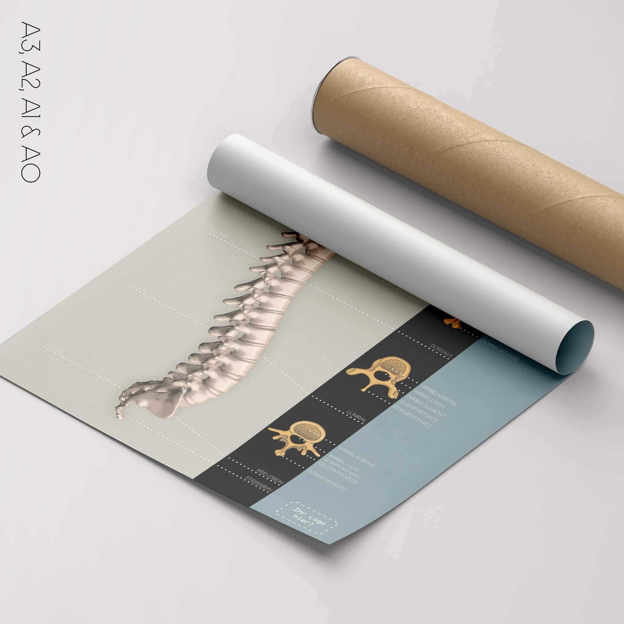 Wirbelsäulen-Kunstwerke