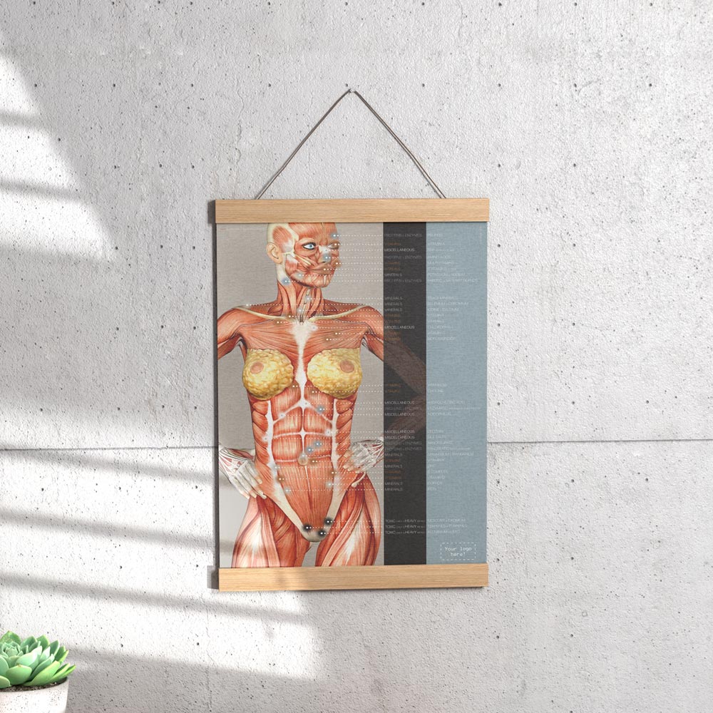 Nutritional Energy Reflex Points Artwork