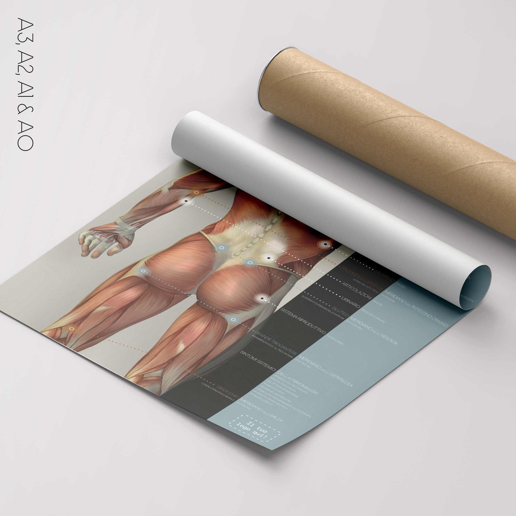 Fibromialgia; Punti teneri e sintomi