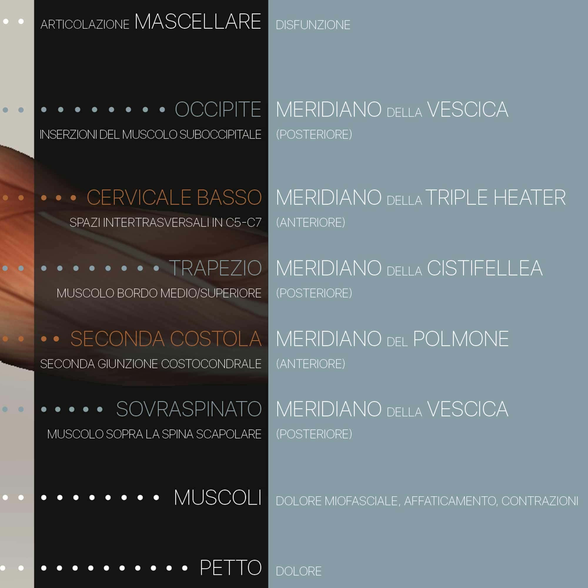 Fibromialgia; Punti teneri e sintomi