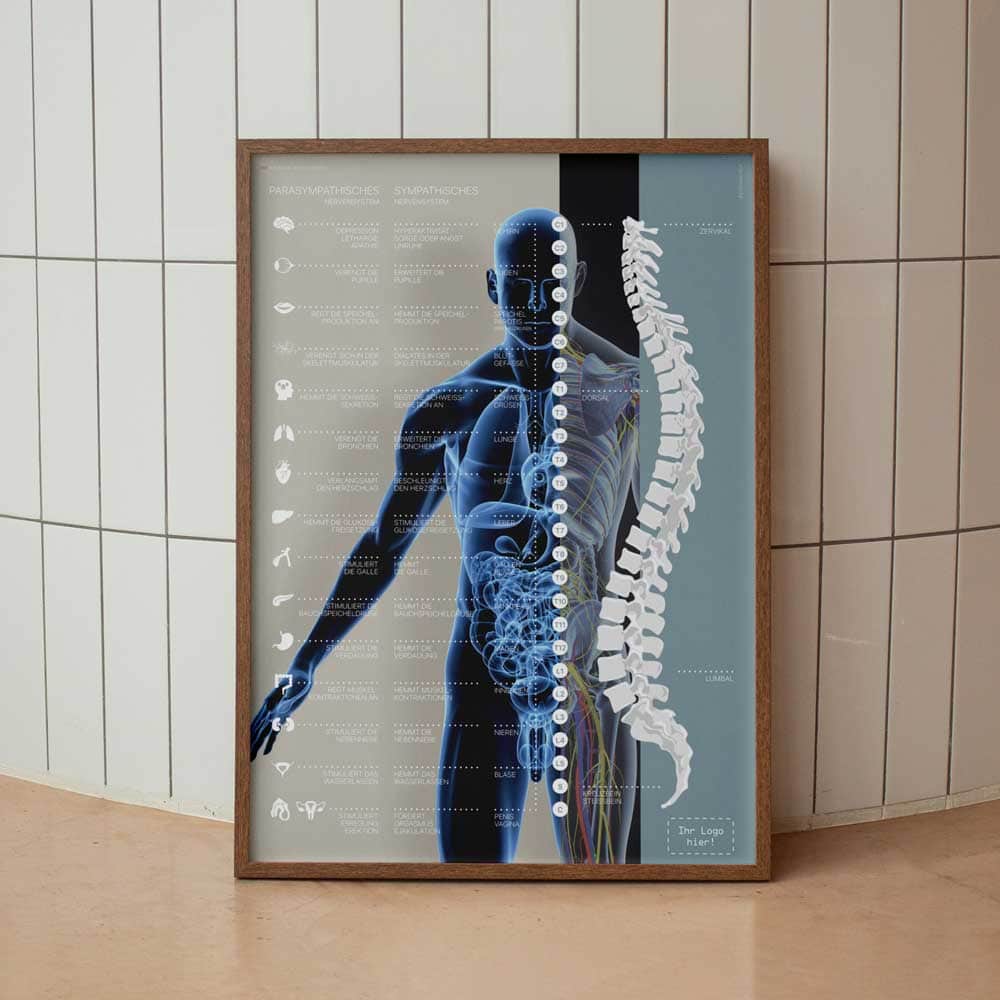 Vegetatives Nervensystem