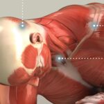 Lesiones y dolencias, obra de arte de educare.design