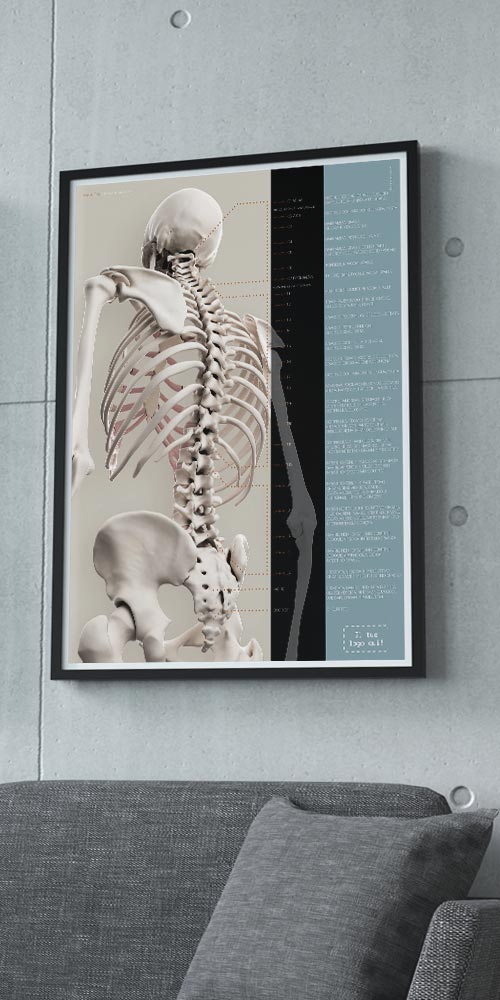 Spinal Motion Artwork